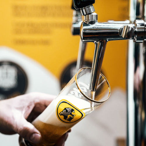 Pompe à bière - Options - Lodges d'Opale