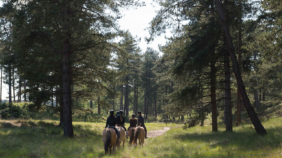 Balades à Cheval dans le Marquenterre - Activités - Lodges d'Opale
