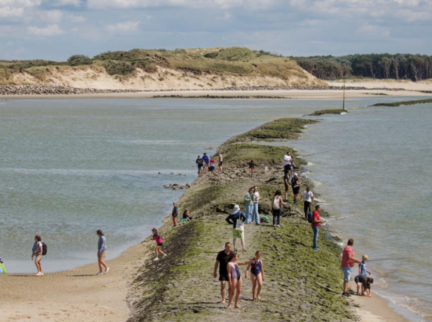 La Baie d'Authie - Activités - Lodges d'Opale