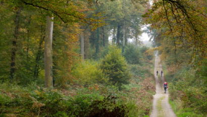 Forêt de Crécy en Ponthieu - Activités - Lodges d'Opale