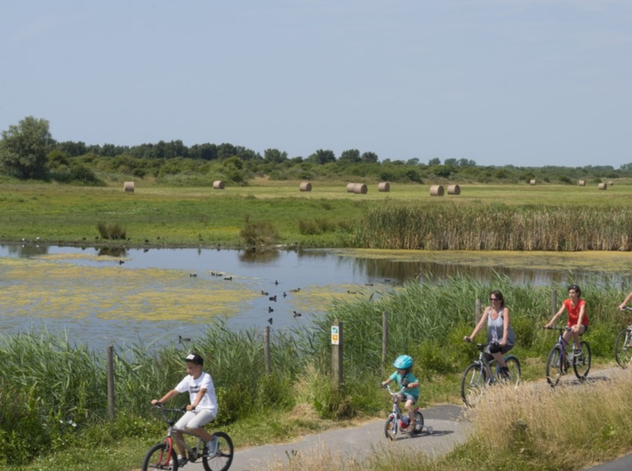 Circuit vélo - Activités - Lodges d'Opale