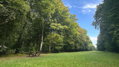 Randonnées en Forêt - Activités - Lodges d'Opale